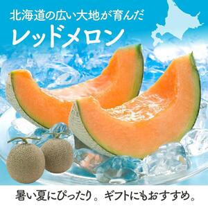 【先行予約】香り豊かな 北海道レッドメロン 1.6kg×2玉(2026年7月下旬から発送開始)  | メロン_01381