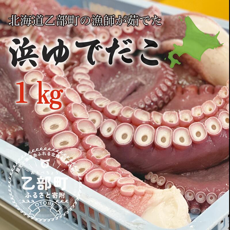 ＜漁師の浜ゆでたこ1kg＞北海道 道産 乙部町 乙部町産 蛸 タコ たこ足 タコ 刺身 唐揚げ おかず おつまみ 真空パック お土産 グルメ 国産 食品 海鮮 人気 おすすめ