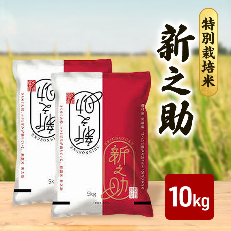 【ふるさと納税】新米予約 令和7年 新潟県産新之助 特別栽培米 10kg 10キロ （5kg×2袋） 上越市 三和区神田 富永農産 有機肥料、自家製たい肥を使用し米つくり 送料無料　お届け：2025年10月上旬～2026年3月下旬まで