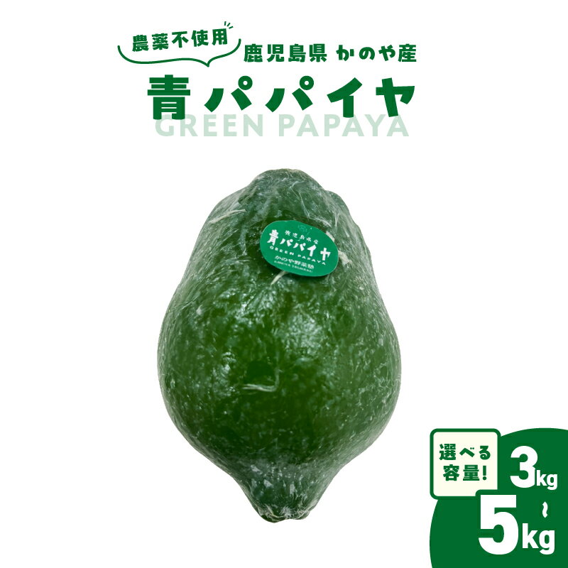 【ふるさと納税】＜選べる＞ かのや産 青パパイヤ 約3kg or 約5kg 農薬不使用 パパイヤ スーパーフード 栄養 パパイン 酵素 健康 料理 スムージー 漬物 万能 美味しい フルーツ 果物 野菜 オキス ふるさと納税 鹿児島 鹿屋市 おすすめ ランキング プレゼント ギフト