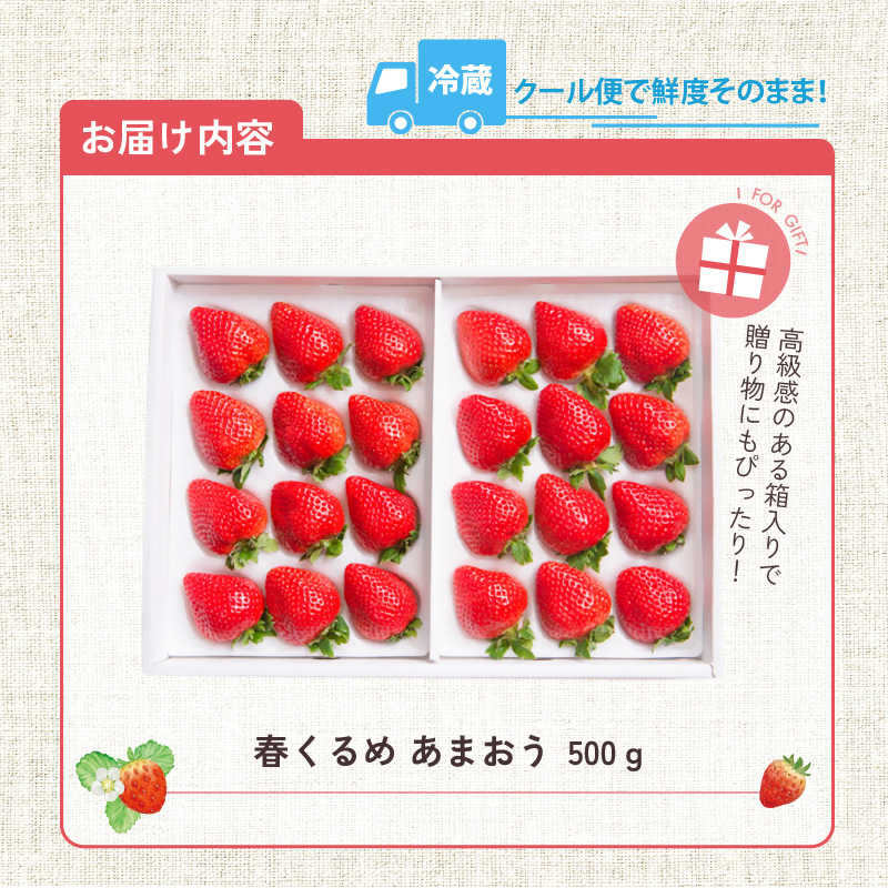 【2026年12月以降お届け】あまおうギフト箱（24-30粒）_予約受付 あまおう ギフト 箱 24 ～ 30粒 くるっぱオマケシール付き 国産 福岡県産 ブランドいちご いちごの王様 アフター保証 食べ方いろいろ 甘い 果物 フルーツ ストロベリー いちご お取り寄せ スイーツ デザート 贈り物 福岡県 久留米市 送料無料_Fi017