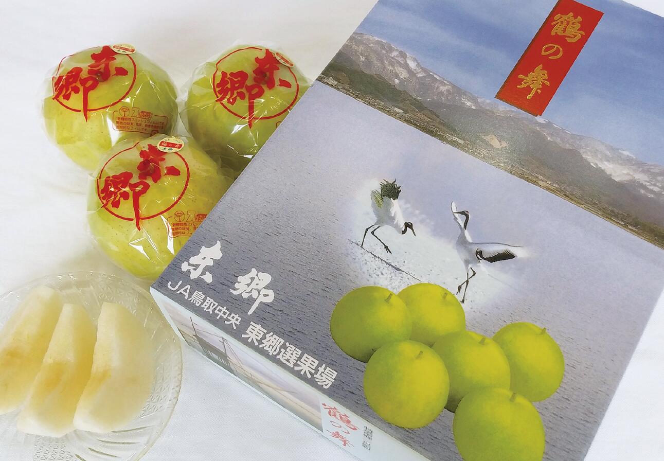 【ふるさと納税】梨 東郷 二十世紀 2kg 鶴の舞 鳥取県産 | 3M 二十世紀梨 鳥取県 湯梨浜町 果物 フルーツ 特産品