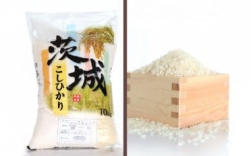 No.176 【令和5年産】茨城県坂東産　コシヒカリ10kg ／ お米 こしひかり 旨み 茨城県 特産品