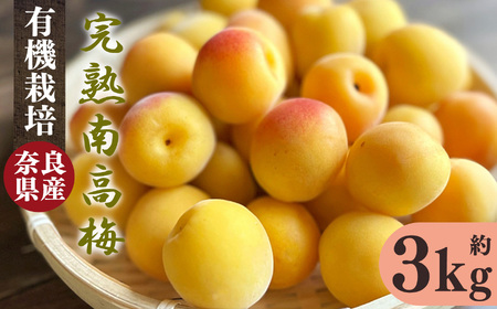 有機栽培　完熟南高梅 3kg | ＜※6月中旬〜7月上旬発送予定＞