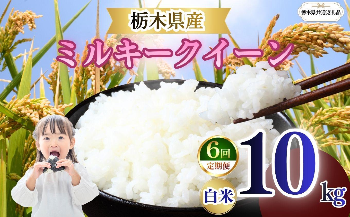 【定期便6回】栃木県産 ミルキークイーン 白米 10kg 2026年 先行予約 | 栃木県 矢板市