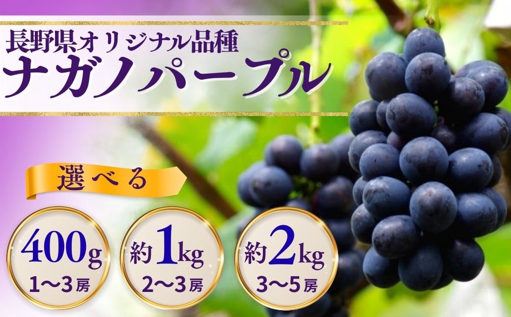 
            【2026年先行予約】ナガノパープル  400g～2kg｜ 果物 フルーツ 黒ぶどう 葡萄 ブドウ 種無し 種なし 皮ごと 千曲市 長野県 信州
          