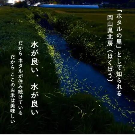 【令和8年産】新米 岡山ほたる米 きぬむすめ 精米10kg (岡山県産)【1701655】