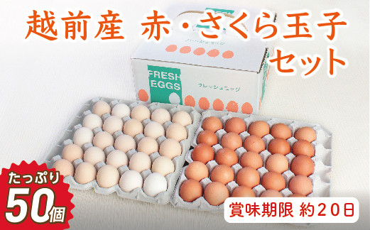 
【お届け日指定可】越前産赤玉子・さくら玉子セット50個入り（45個+割れ補償5個入り）【冷蔵・卵】
