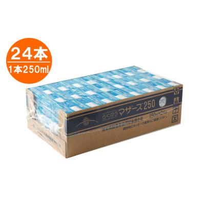 ふるさと納税 菊池市 おいしいミルクバニラ 250ml×24本(菊池市) |  | 01