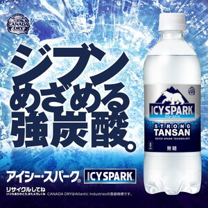 【12ヶ月定期便】【強炭酸】 カナダドライ(CANADA DRY) コカ・コーラ アイシー・スパーク 500ml×24本 ※離島への配送不可｜強炭酸 炭酸飲料 ジンジャーエール 甘さ控えめ 