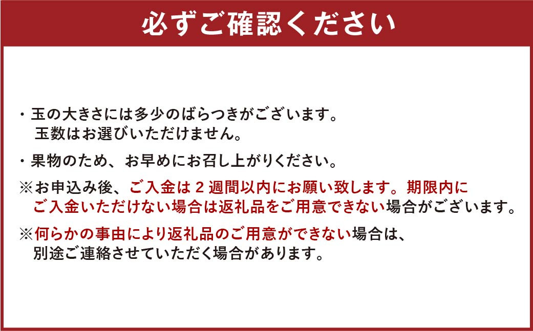 福岡県産 ブランド柿 秋王 約1.5kg (4-6玉) 
