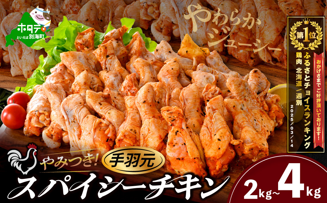 
            御礼！ランキング第1位獲得！【内容量が選べる】 北海道 別海町 やみつき スパイシー チキン（手羽元）2～4kg（ ふるさとチョイス ふるさと納税 仕組み キャンペーン 限度額 計算 ランキング やり方 シミュレーション チョイス チョイスマイル 鶏肉 鳥肉 肉 にく チキン 惣菜 弁当 おかず お惣菜 お弁当 生活応援 大容量 ）
          