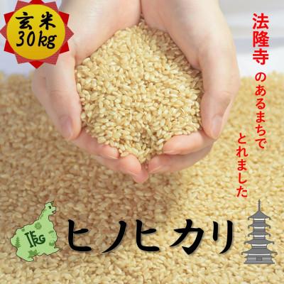 ふるさと納税 斑鳩町 世界遺産「法隆寺」のあるまちで採れた玄米【ヒノヒカリ】30kg  令和7年産
