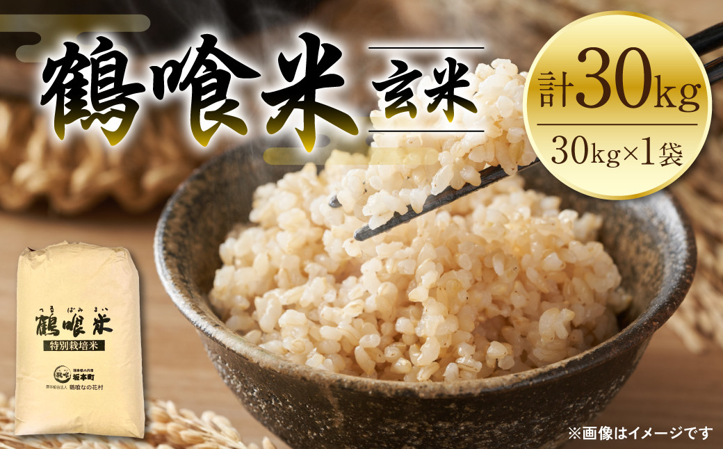 
            【先行予約】 《令和7年産》 鶴喰米 玄米30kg くまさんの輝き 米 白米 熊本県産 国産 【2025年10月中旬より順次発送】
          