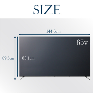 テレビ 65型 4Kパネル ウルトラハイビジョンチューナーレステレビ 家電 ダイコーアペックス (AP65DPX) 法人用モニター デジタルサイネージモニター チューナーレスモニター 大型モニター