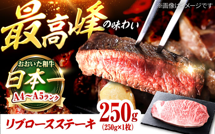 
おおいた和牛 リブロースステーキ 250g (250g×1枚) 日田市 / 株式会社OTOGINO [AREF053]
