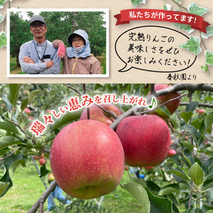 【2025年9月上旬発送】りんご　サンつがる 約5kg 高級品 春秋園 青森【贈答用 リンゴ 林檎 サンツガル 早生りんご】