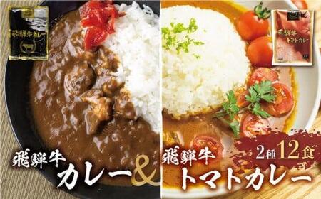飛騨牛カレー  &トマトカレー  計12袋  | 訳あり ビーフ カレー 常温 ふるさと清見 DC004VC13