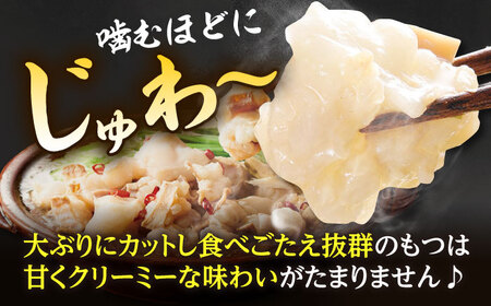 【博多もつ鍋やまや】大容量！もつ鍋セット あごだし醤油味（5?6人前）ぷるんぷるんのもつ肉たっぷり600g！ 桂川町/株式会社やまやコミュニケーションズ[ADAN018]