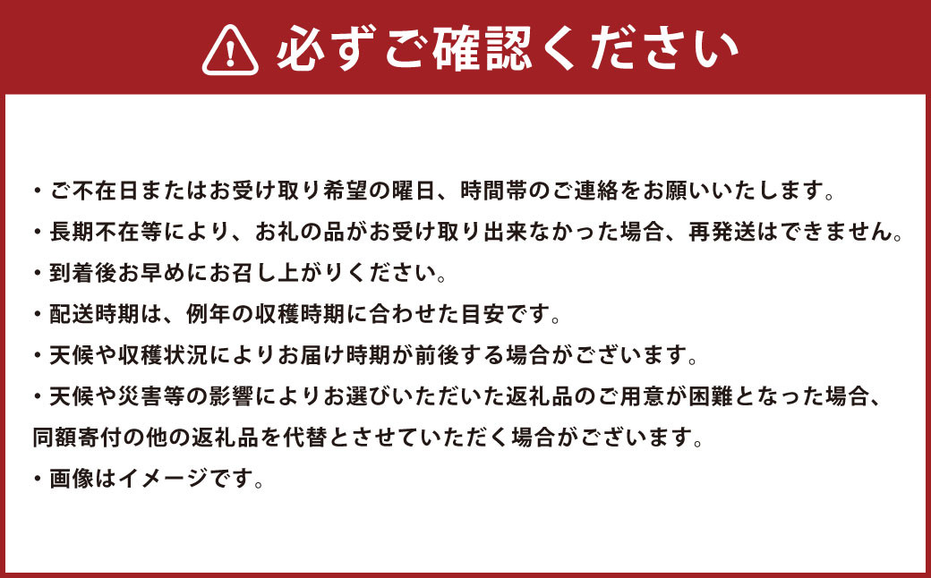 もも (川中島白桃・まどか・桃水など) 3kg 山形県産 フルーツ 果物 【2025年8月下旬-9月上旬発送予定】