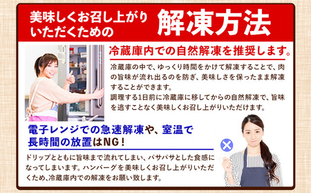 ステーキマニア監修 熊本県産 あか牛 100% 生ハンバーグ 140g× 26個 2セット 《30日以内に出荷予定(土日祝除く)》熊本県産あか牛 冷凍 ハンバーグ