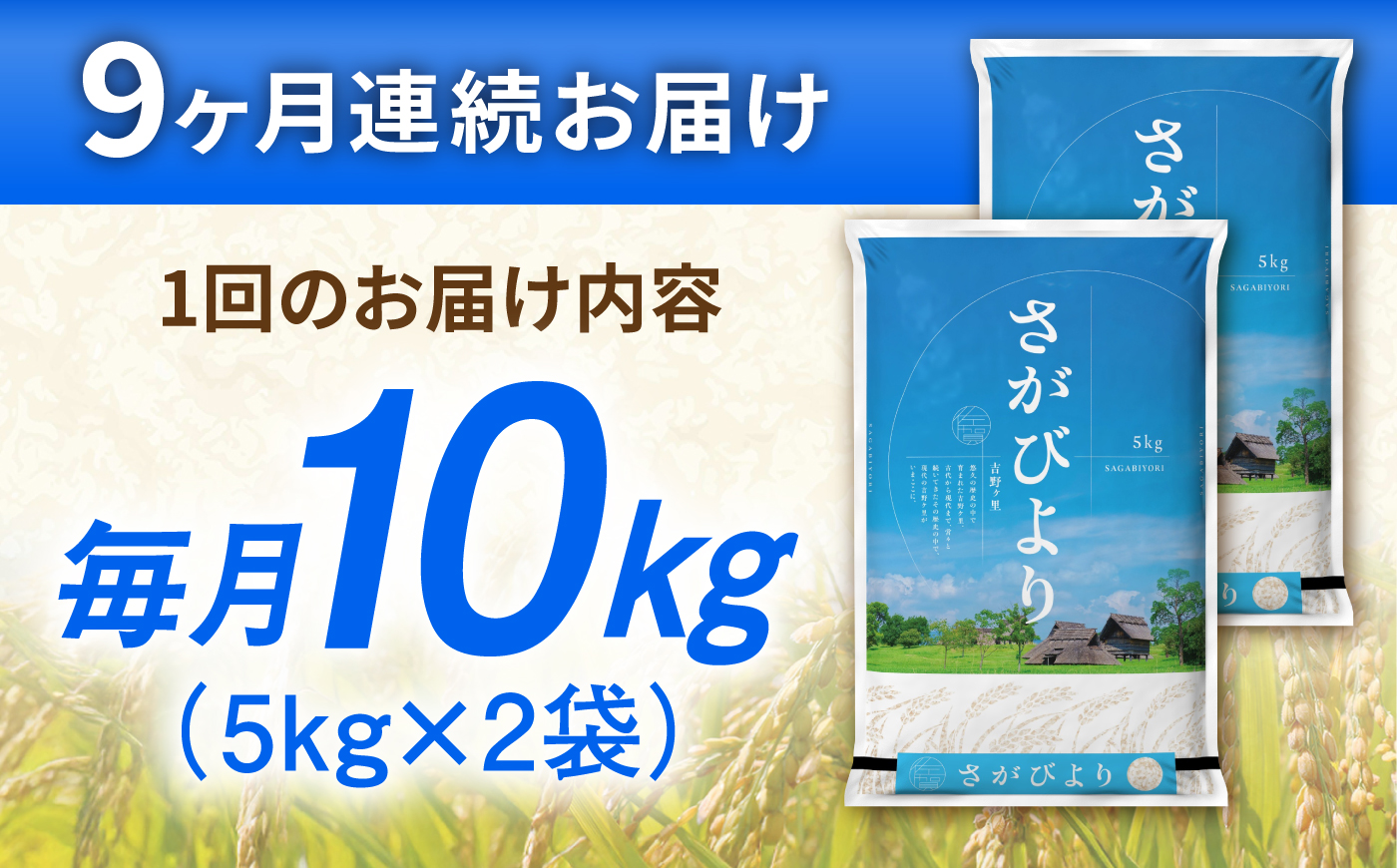【10kg×9回定期便】【令和7年産】さがびより 計90kg（5kg×2袋） 吉野ヶ里町/増田米穀 [FBM052]