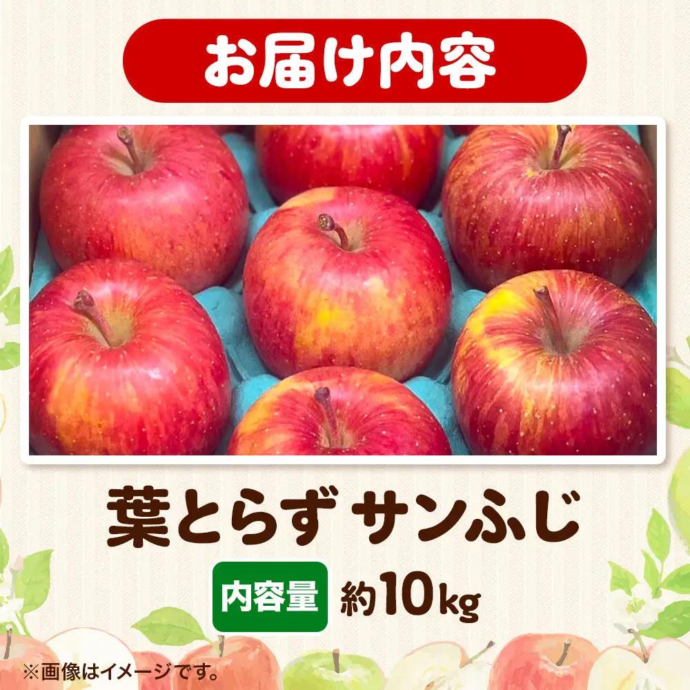 りんご 葉とらず サンふじ 約10kg りんご