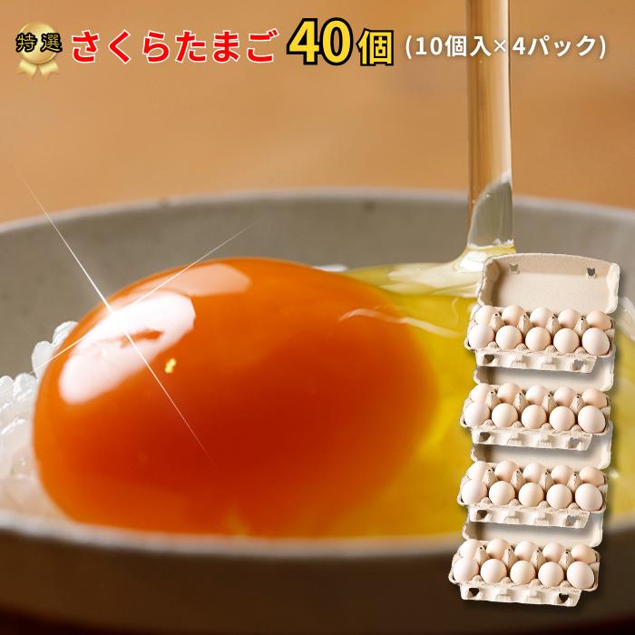 【ふるさと納税】【9月30日〆飛騨牛が抽選で当たる】 特選 さくらたまご 40個（10個入×4パック） 新鮮な卵(発送当日・または前日に採れた卵)をお届けします 岐阜県 大垣市