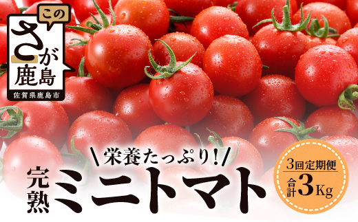 【先行予約】 【2026年1月から出荷】 完熟ミニトマト『Ricotomato』 【1kg×3回定期便】 E-68