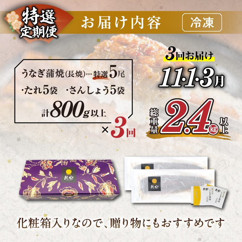 先行予約≪定期便全3回≫7月・9月・11月お届け!!うなぎ蒲焼5尾(総重量2.4kg以上)_T026-005【鰻 魚 魚介 加工品 国産 人気 ギフト 食品 おかず 惣菜 高級 お土産 贈り物 送料無