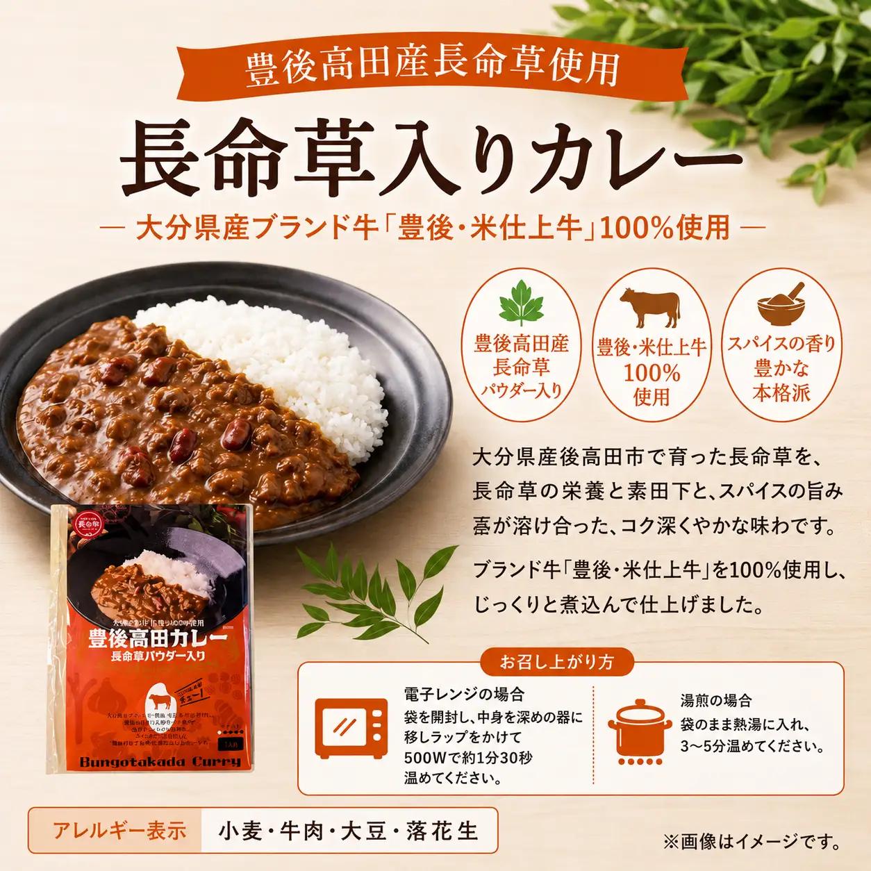 大分素材の健康レトルトカレー2種セット｜国産 黒毛和牛 ビーフ キーマ 豊後高田市 レトルトカレー