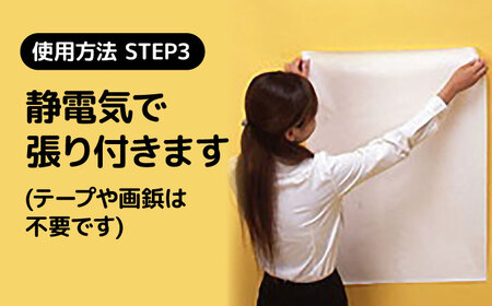 ホワイトボード ピタッとandかきけしーと (白)10枚入り×2本セット [AIAR003] 