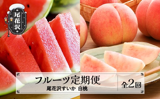 【先行予約】フルーツ定期便  全2回  スイカ もも 秀品 2027年7月中旬~発送開始 2027年産 令和9年産 佐竹物産 ※沖縄・離島への配送不可  sb-fts2x-a-mo
