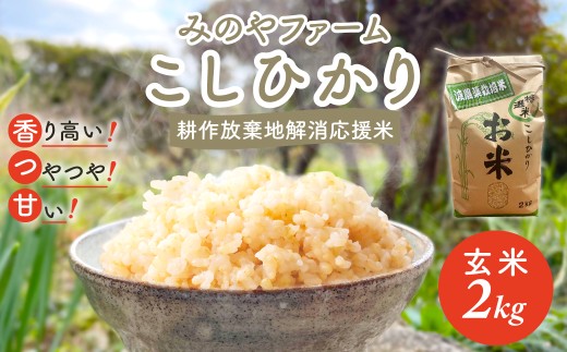 令和7年産　こしひかり 2ｋｇ（玄米） みのやファームの耕作放棄地解消応援米 【 コシヒカリ こしひかり おいしい お米 米 こめ 自然栽培 贈り物 ギフト 千葉県 御宿町 人気 おすすめ ランキング 】 ONJF004