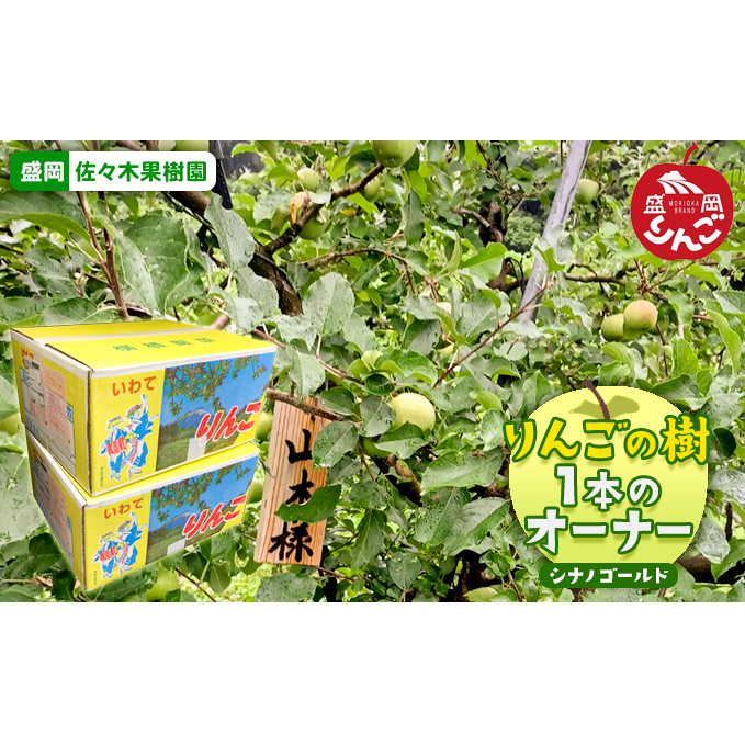 先行予約《定期便》佐々木果樹園 乙部角屋 りんごの樹（シナノゴールド）1本のオーナー（収穫したりんご約15kgを2回発送）