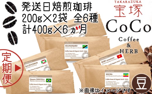 【宝塚】6ヶ月の定期便(発送日自家焙煎珈琲豆・全6種 計2400g)【豆】