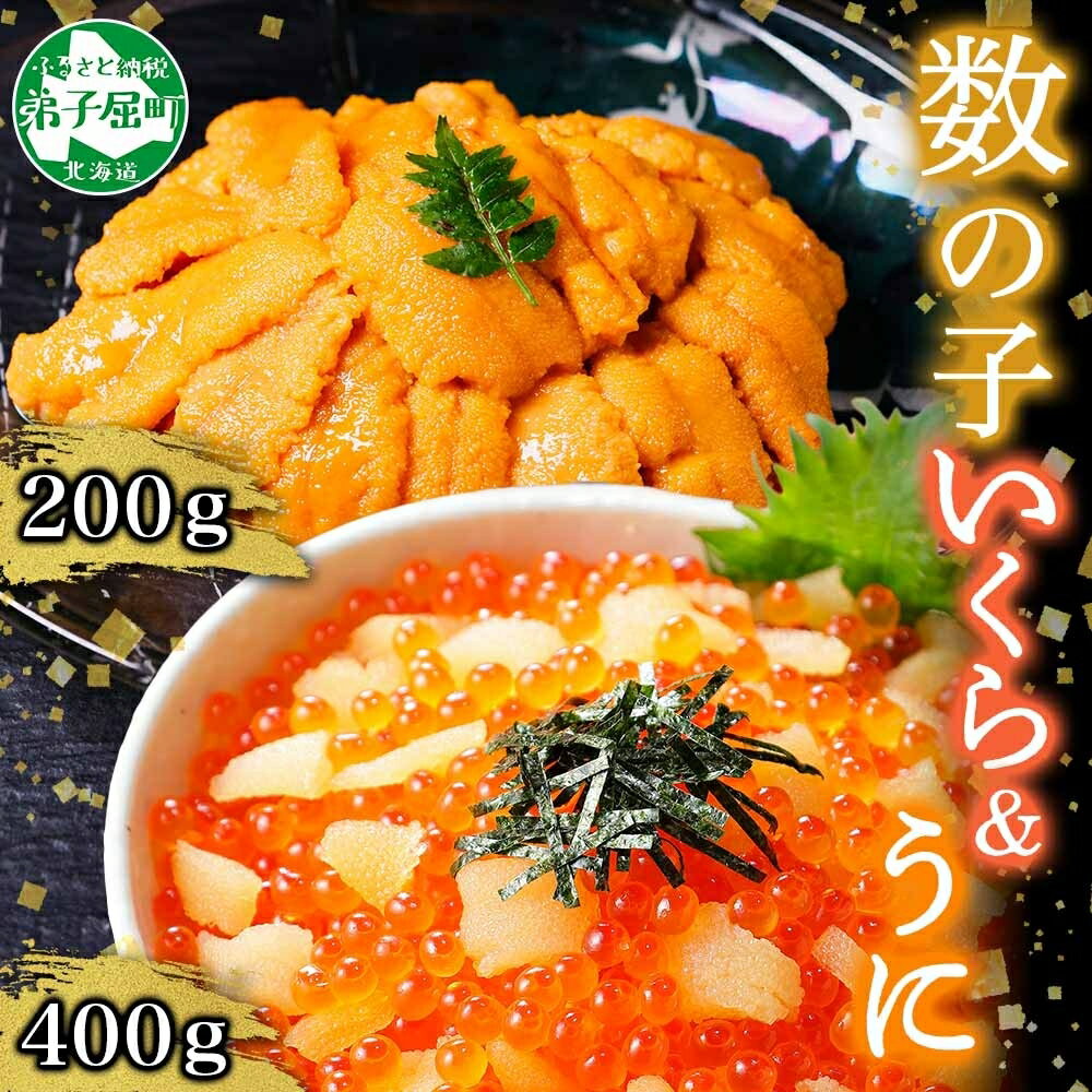 厳選 海鮮丼 数の子・いくら醬油漬け 100g前後 4パック 計400g イクラ 魚卵 うに ウニ 雲丹 100g前後 2パック 計200g 加藤水産 北国からの贈り物 弟子屈町 25000円