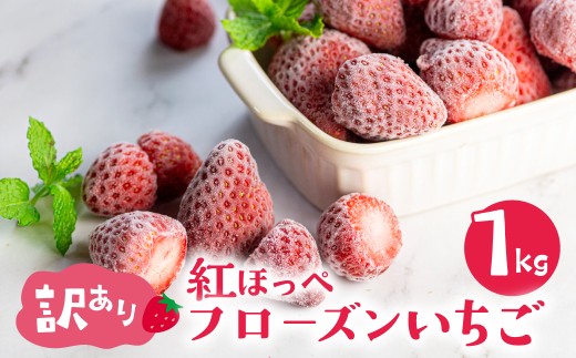【愛知県・田原産】フローズンいちご 約1kg袋 訳あり 形不揃い