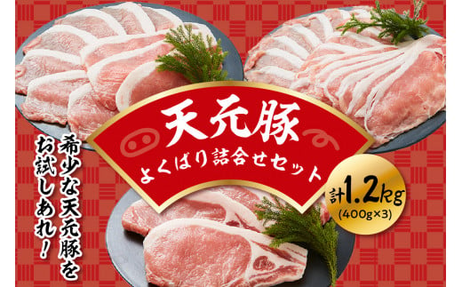 天元豚 よくばり詰合せセット 計1.2kg しゃぶしゃぶ 焼肉 とんかつ 豚肉