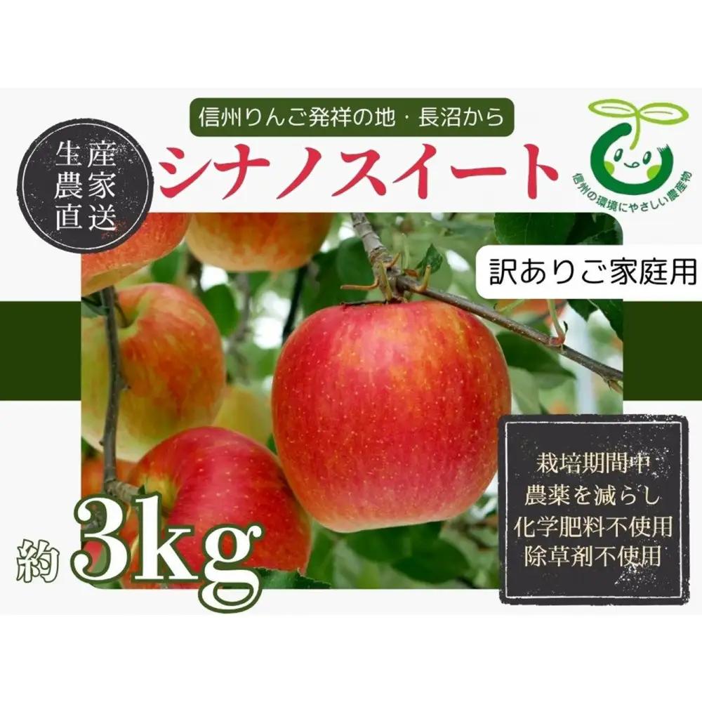 【訳あり】ヤーミーズファーム　生産農家直送 人にやさしい 長沼りんご・シナノスイート3kg（ご家庭用） |  りんご 林檎 フルーツ 果物 シナノスイート 家庭用 長沼 おすすめ 人気 送料無料 長野県 長野市 信州 信濃 ふるさと納税