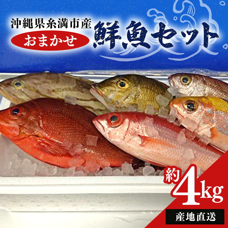 【ふるさと納税】【 産地直送 】【漁師まちの鮮魚店厳選】おまかせ 鮮魚 セット(約 4kg ) お魚 魚 詰め合わせ 下処理済み (内臓・ウロコ除去済み) 急速冷凍 真空パック 沖縄 鮮魚セット 詰合せ 鮮魚店 厳選 お任せ 鮮度 産直 海鮮 加熱用 冷凍保存 沖縄県 糸満市 送料無料