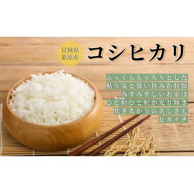 ふるさと納税 栗原市 【令和6年産】宮城栗原産 コシヒカリ 玄米15kg (15kg×1袋) |  | 01