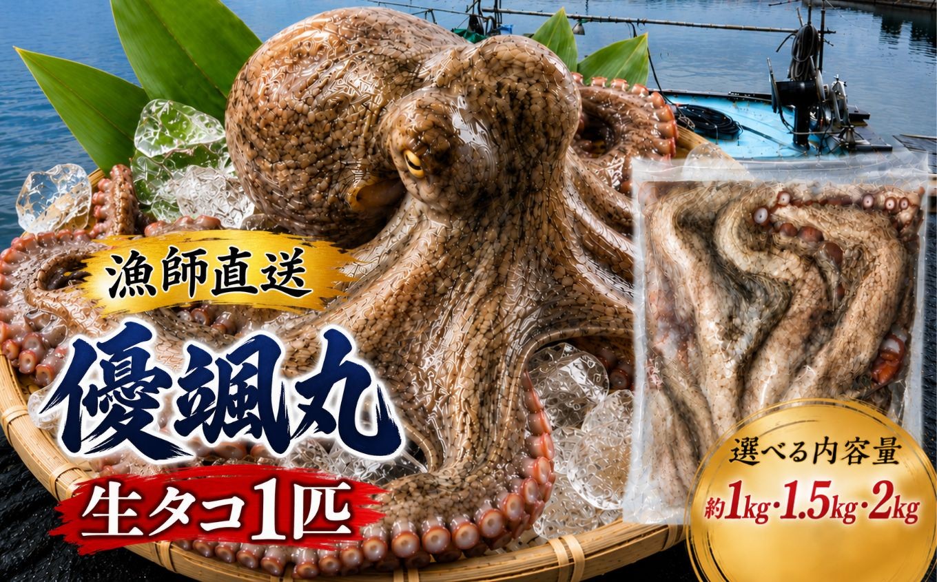 
                  瀬戸内 海の幸 セット 真空 生タコ チルド 容量 選べる 約 1kg 1.5kg 2kg | 魚 魚介 タコ たこ 海 幸 生タコ チルド 海鮮 マダコ 瀬戸内海 セット 山口県 山口 平生町
                