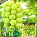 【ふるさと納税】先行予約＜2025年発送＞岡山県産 シャインマスカット『晴王』2房(1房600g以上) 化粧箱入り TY0-0399