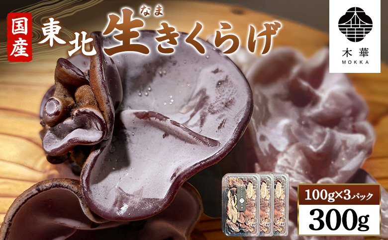 《国産》東北きくらげ【木華（もっか）】300g (100g×3パック)【580001】 100g×3パック