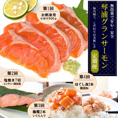 【毎月定期便】山陰の魚屋 山米鮮魚 厳選 国産グランサーモン定期便全4回【配送不可地域：離島】【4088349】