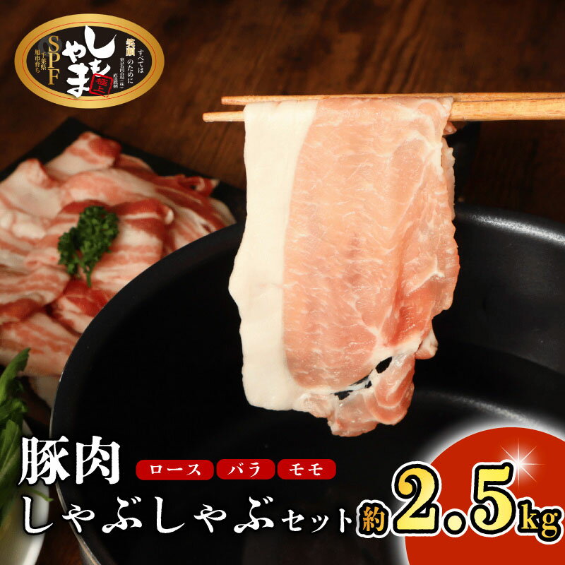 【ふるさと納税】 豚肉 しゃぶしゃぶ セット 約2.5kg ロース バラ モモ 国産 小分け 真空パック 250g×10パック 冷凍 鍋 鉄板焼 ぶた にく ポーク 豚バラ肉 豚ロース肉 豚モモ肉 送料無料 家庭用 新鮮 SPF SPF豚 しもやまSPF 千葉県 旭市 有限会社下山農場 usn003
