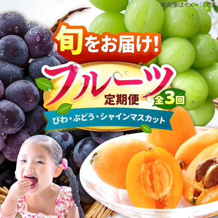 【ふるさと納税】【★先行予約★ 2026年4月発送開始】【3回定期便】フルーツ定期便（びわ/ぶどう/シャインマスカット）果物 定期便 くだもの 定期 広川町 / JAふくおか八女農産物直売所どろや[AFAB025]