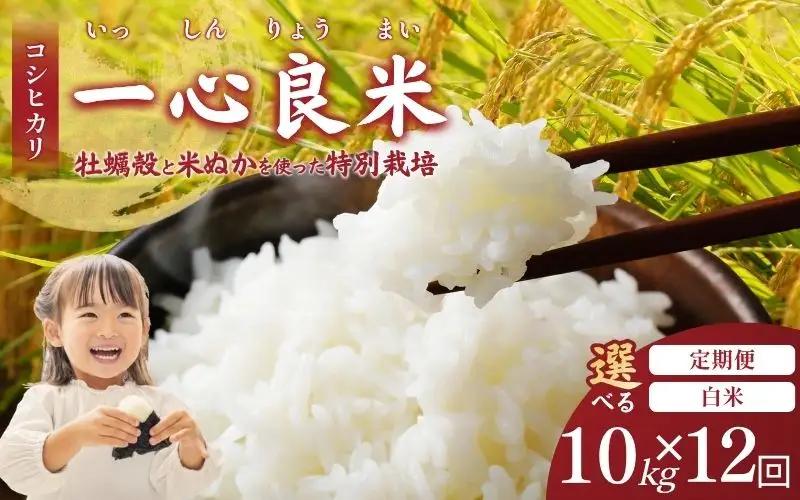 ＜全12回定期便＞ 米 岡山県産精米 令和7年産コシヒカリ『 一心良米 』白米10kg(5kg×2袋）×12回定期便 【tkns-tkb035-cho】