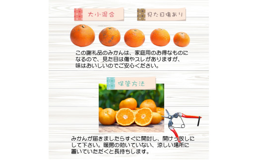 訳あり 家庭用 完熟 有田みかん 5kg ※11月より順次発送予定 / 和歌山 有田 みかん ミカン フルーツ 秋 旬 柑橘 家庭用 濃厚 甘い 甘味 ジューシー 果汁 おすすめ オススメ 本場 【h